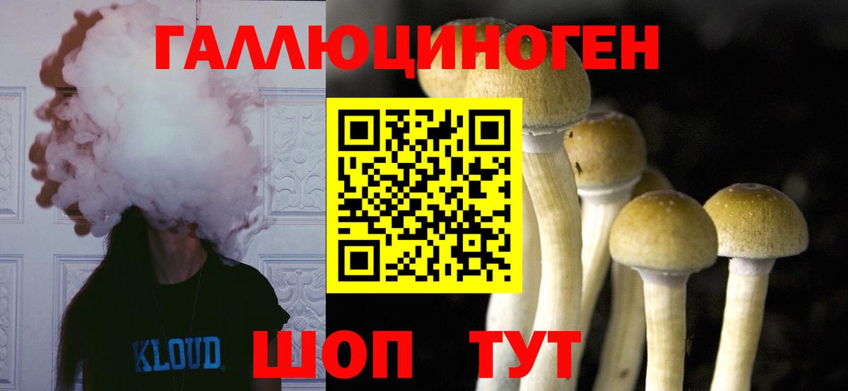Галлюциногенные грибы мухоморы Александров